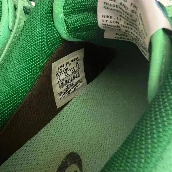 Nike Dunk Premium Basic Low Olympic Tourmaline W Green Zoom 2008 Size 9 - Picture 9 of 11